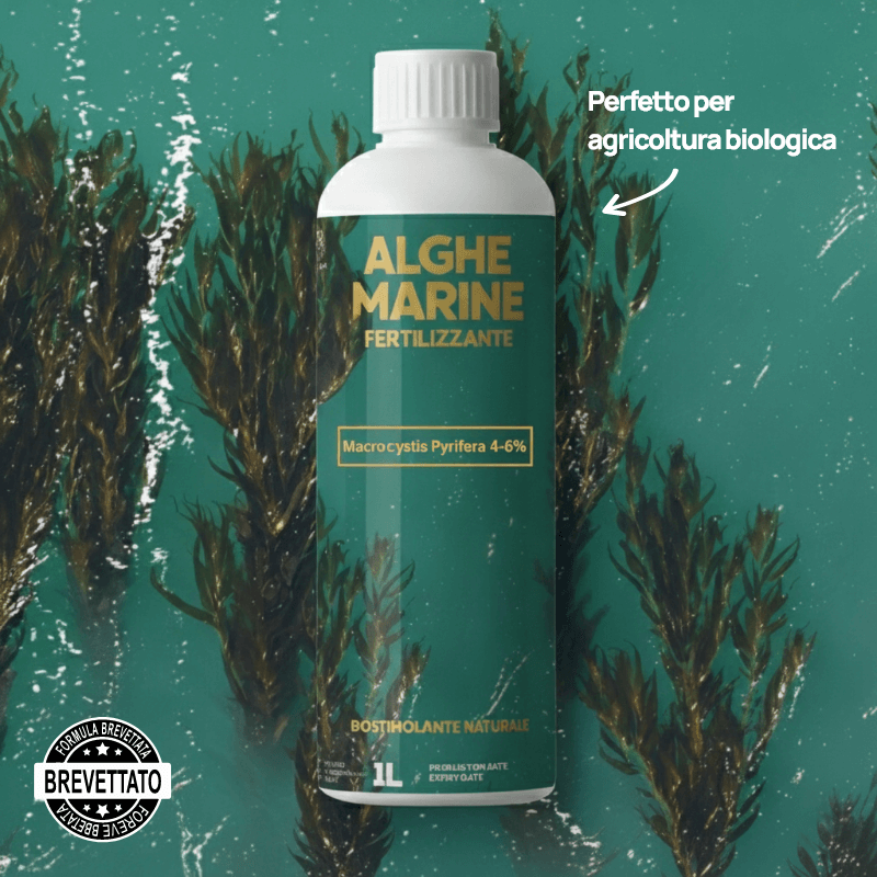 ALGHE MARINE - Fertilizzante che aumenta la resa delle colture del 17% su oltre 75 studi GEP (Macrocystis Pyrifera 4-6%)