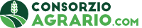 www.consorzio-agrario.com
